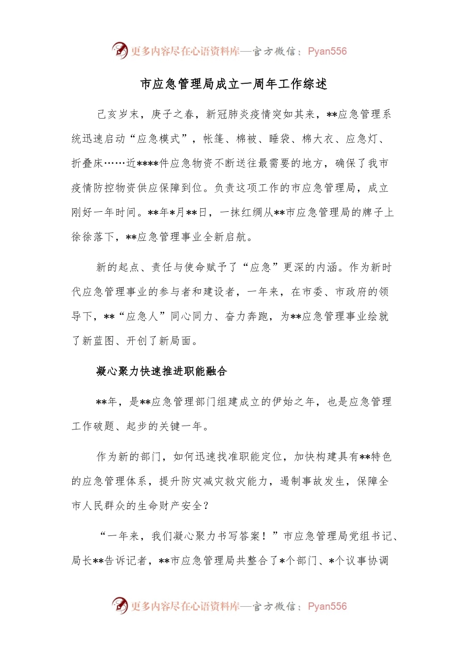市应急管理局成立一周年工作综述.docx_第1页