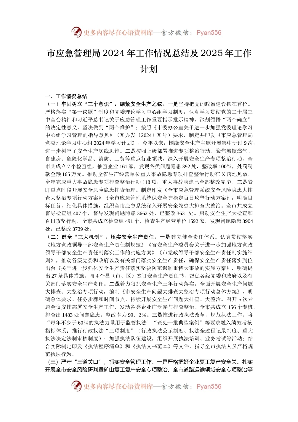 市应急管理局2024年工作情况总结及2025年工作计划.docx_第1页