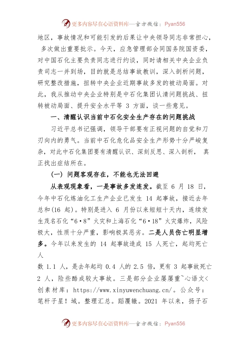应急管理部副部长孙广宇约谈中石化集团主要负责人的讲话提纲（2022年6月20日）.docx_第2页
