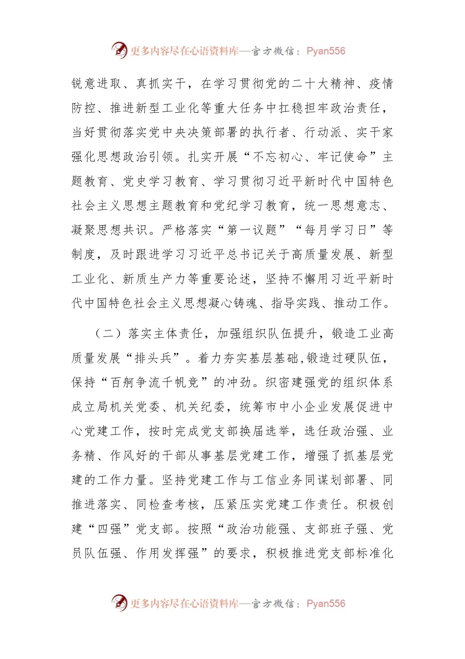 市经信局党组书记抓基层党建工作述职报告.docx_第2页