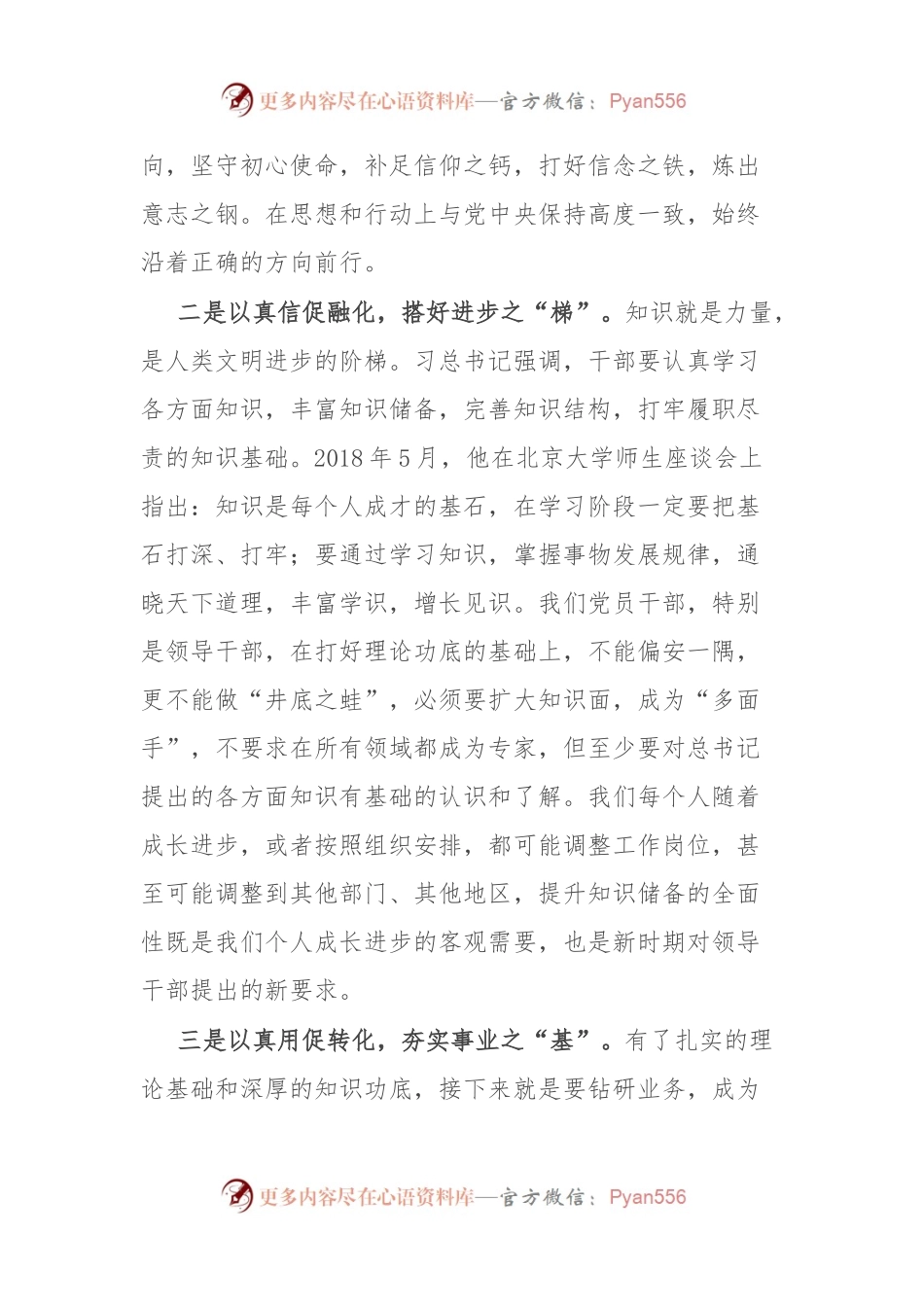 应急管理局局长主题教育研讨发言材料.docx_第2页