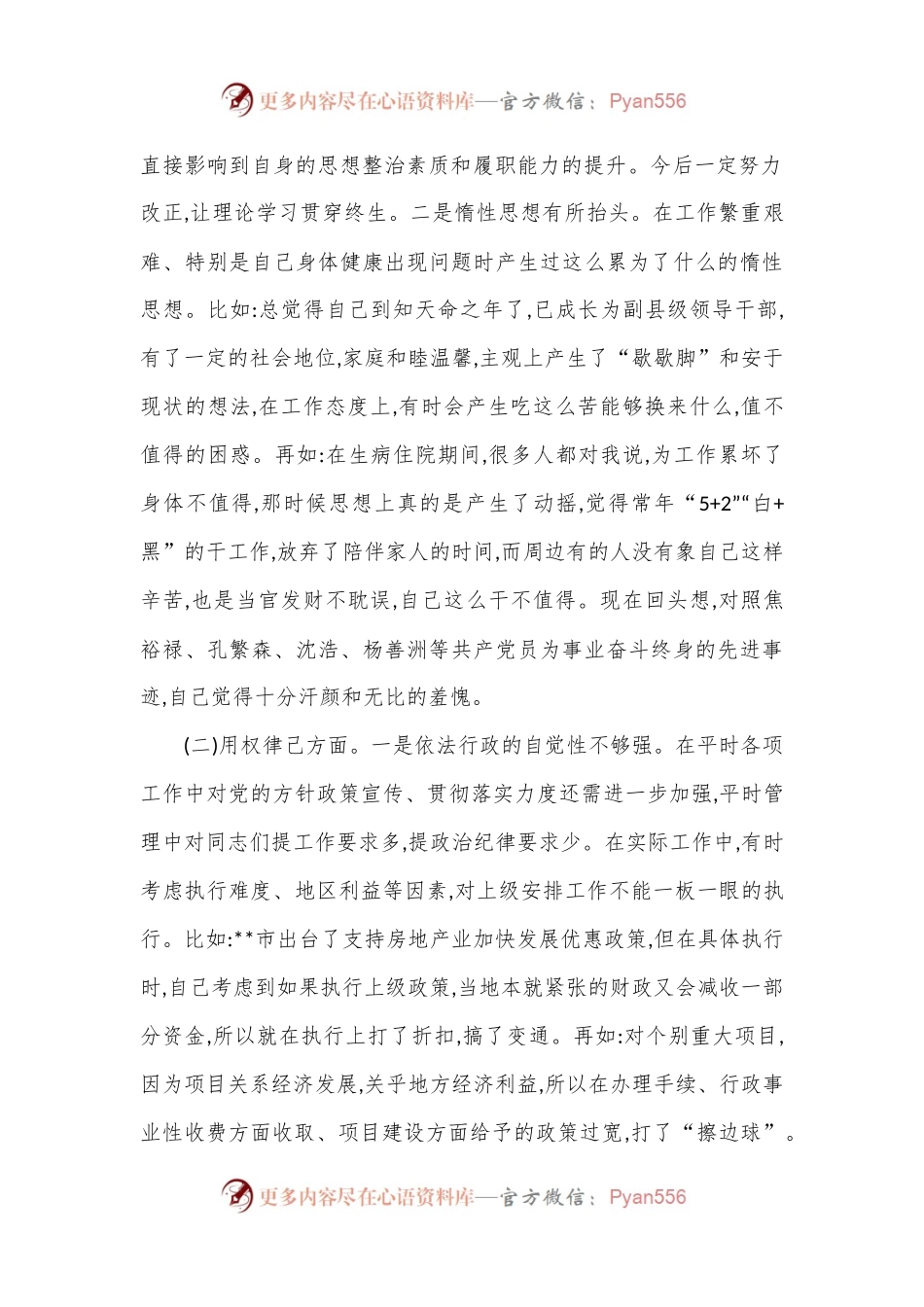 市常委、常务副市长专题民主生活会发言提纲.docx_第2页