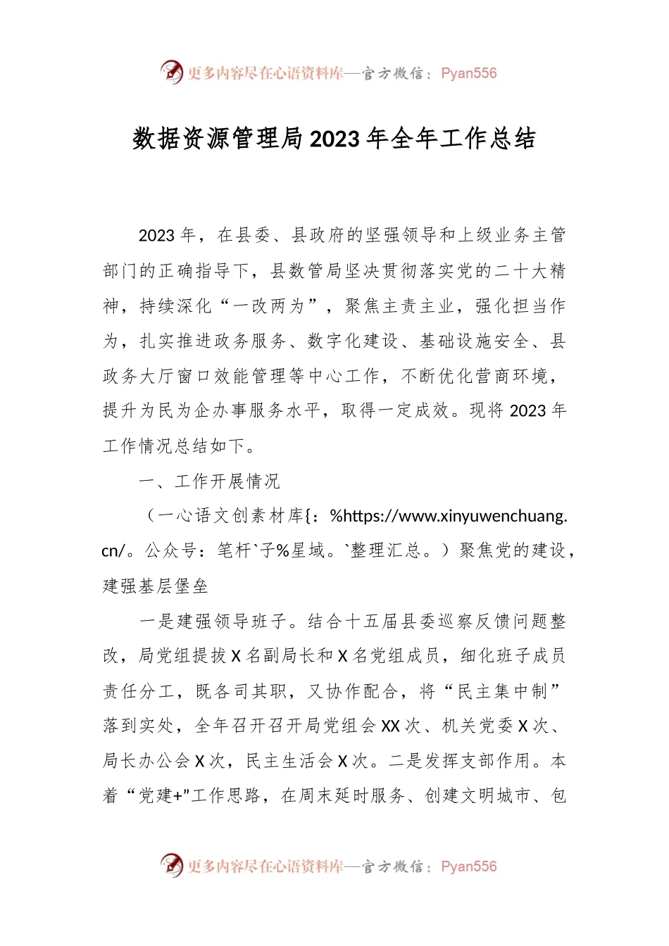 数据资源管理局2023年全年工作总结.docx_第1页