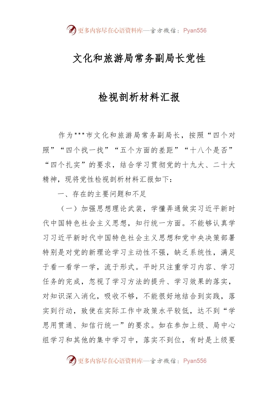 文化和旅游局常务副局长党性检视剖析材料汇报.docx_第1页