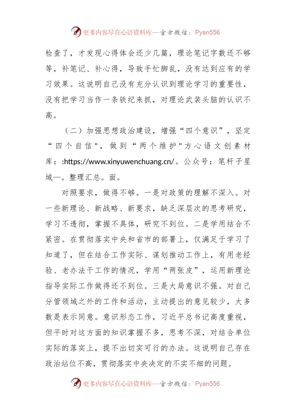 文化和旅游局常务副局长党性检视剖析材料汇报.docx_第2页
