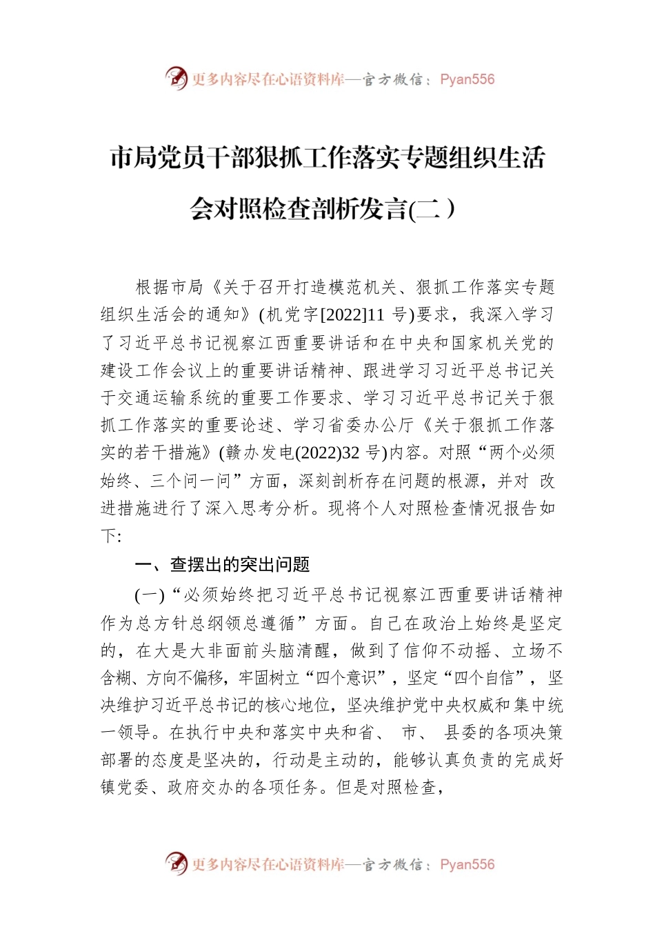 市局党员干部狠抓工作落实专题组织生活会对照检查剖析发言(二）.docx_第1页
