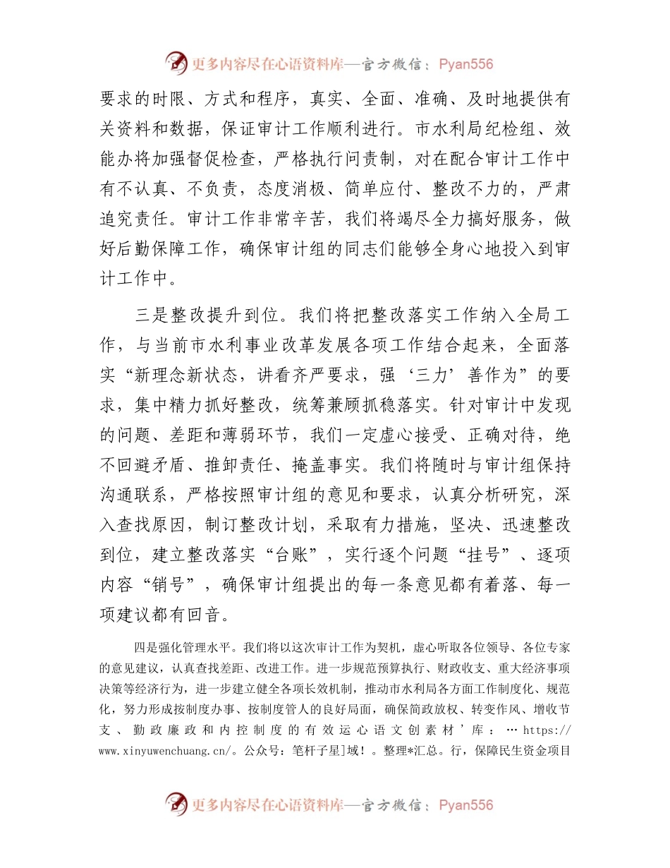 市水利局经济责任审计表态发言.docx_第2页