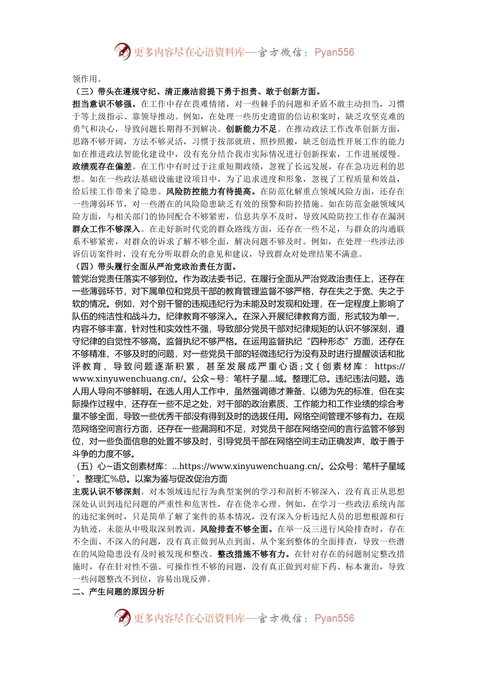 市委政法委书记关于2024年度民主生活会对照检视发言材料.docx_第2页