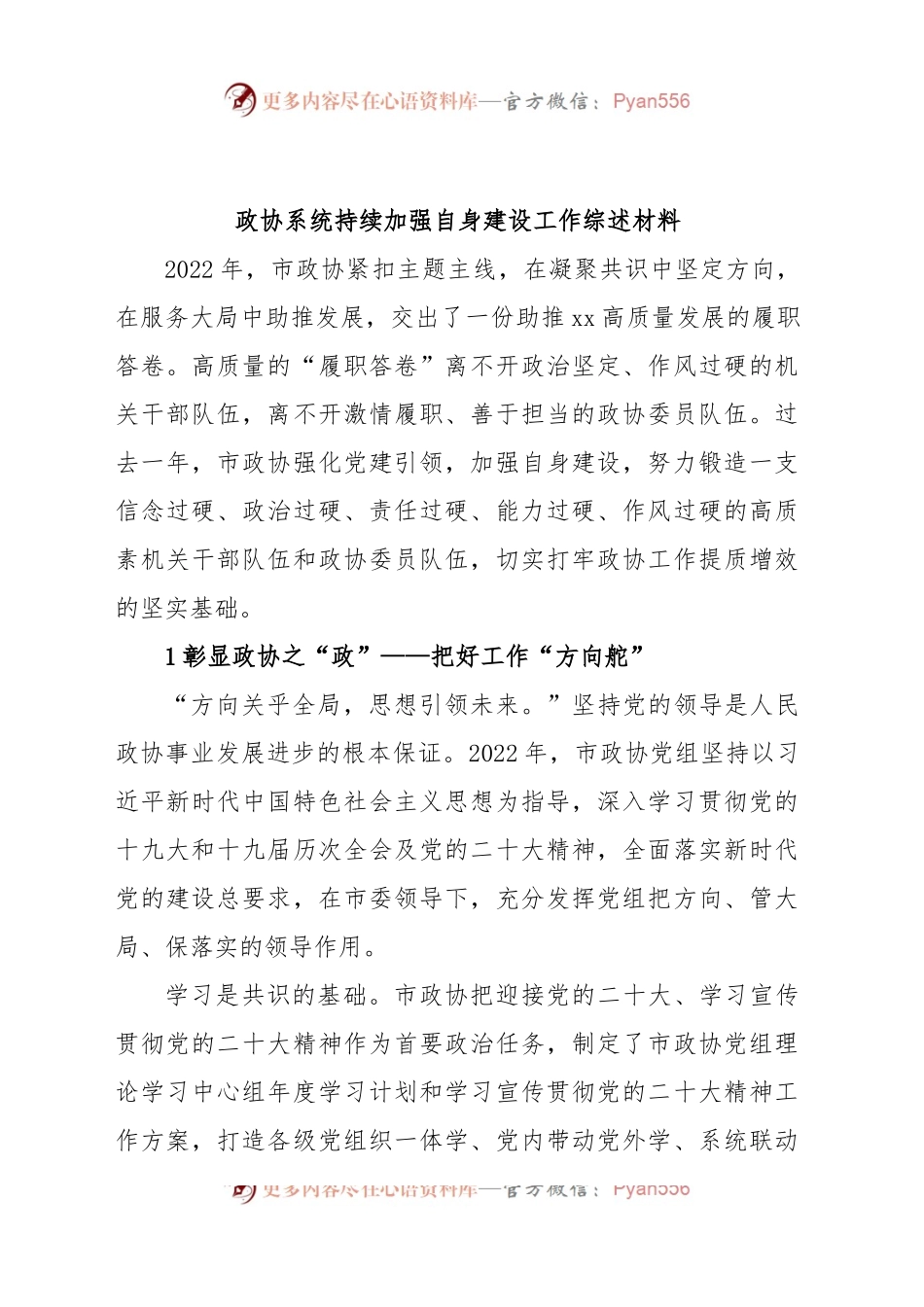 政协系统持续加强自身建设工作综述材料.docx_第1页