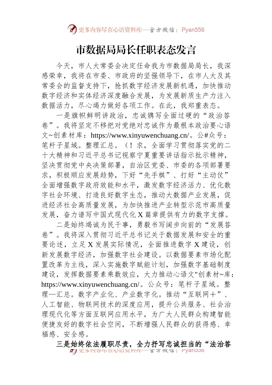 市数据局局长任职表态发言.docx_第1页
