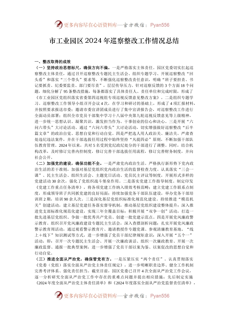 市工业园区2024年巡察整改工作情况总结.docx_第1页