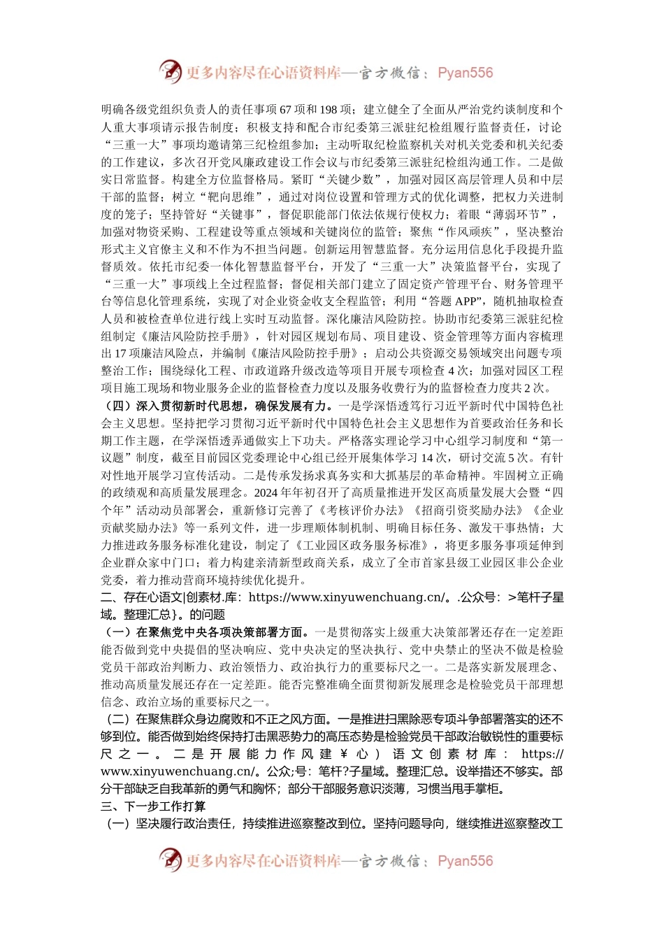 市工业园区2024年巡察整改工作情况总结.docx_第2页