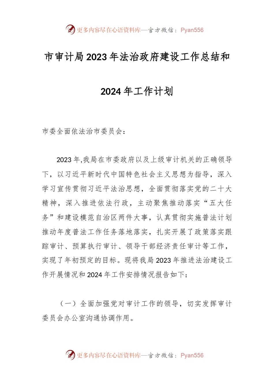市审计局2023年法治政府建设工作总结和2024年工作计划.docx_第1页