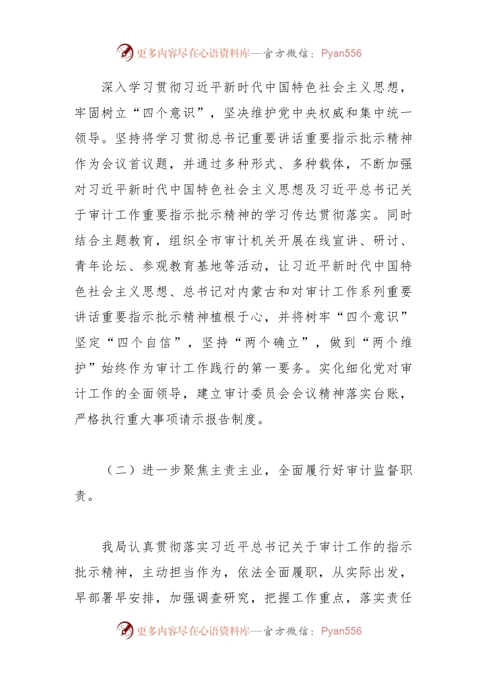 市审计局2023年法治政府建设工作总结和2024年工作计划.docx_第2页