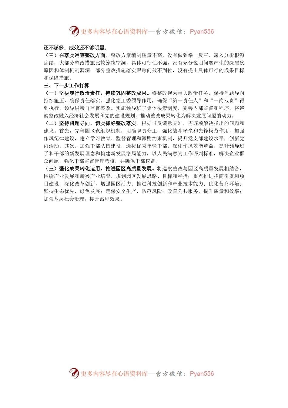 市工业园区2024年巡察整改工作总结.docx_第2页