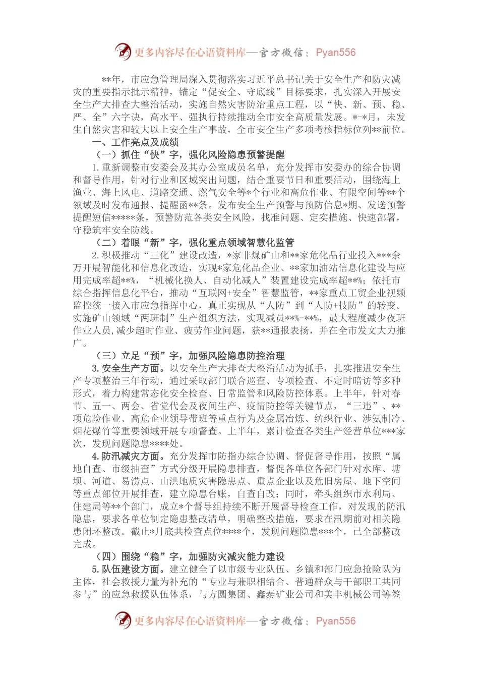 市应急局2022年上半年执行力情况总结.docx_第1页
