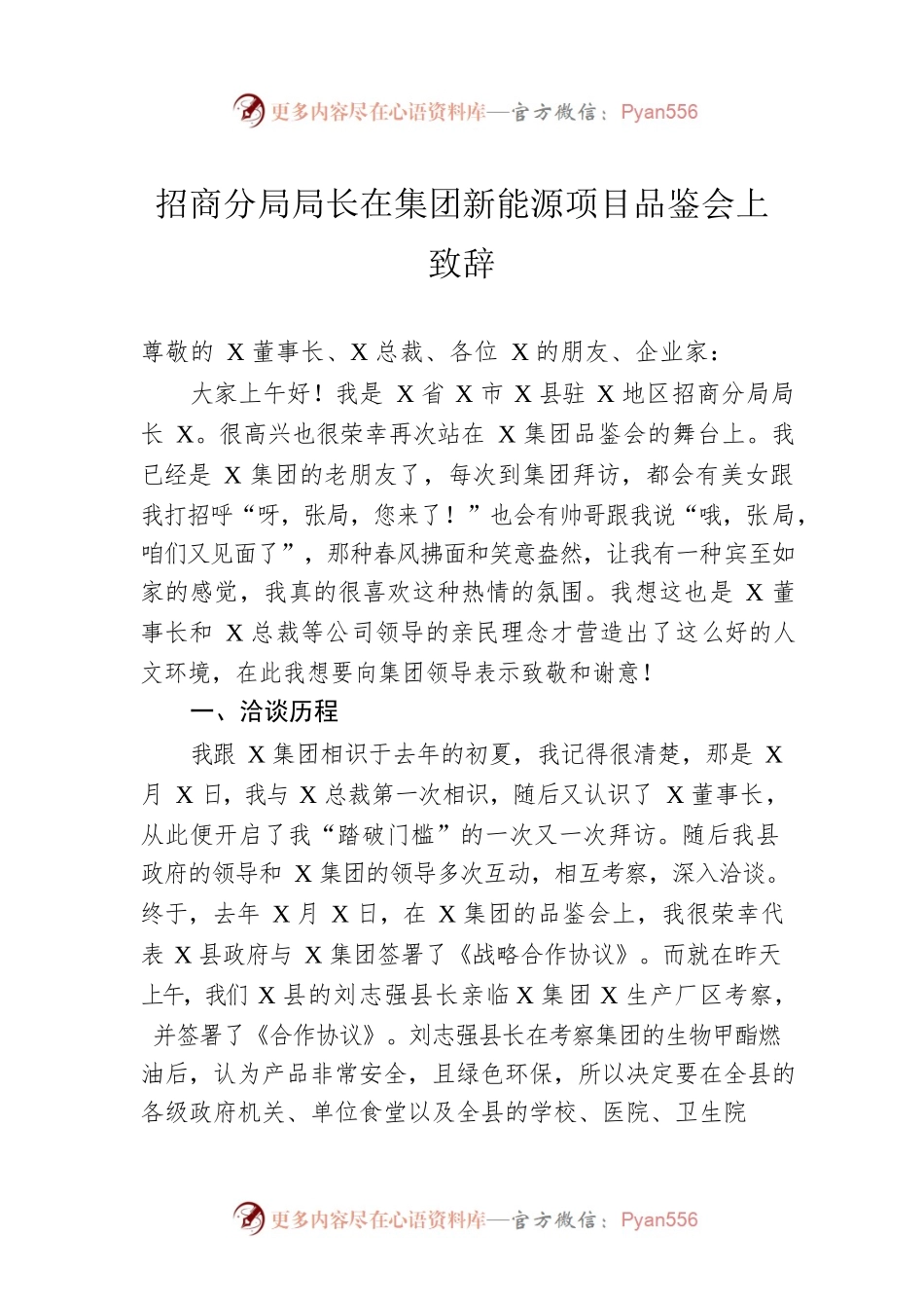招商分局局长在集团新能源项目品鉴会上致辞.docx_第1页