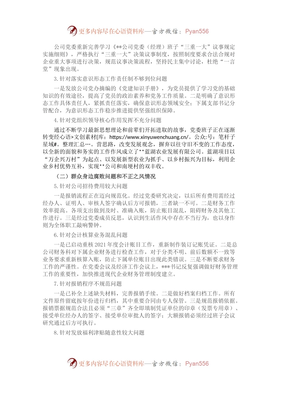 市国企公司党委关于巡察整改进展情况的报告.docx_第2页