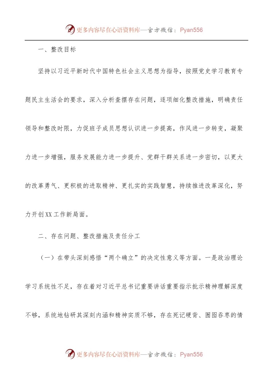 市级局党组班子学习教育专题民主生活会整改方案.docx_第2页