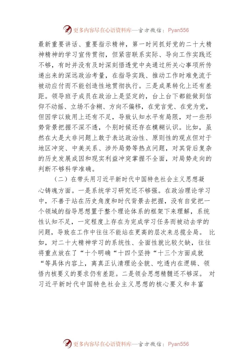 市局党委班子2022年度专题民主生活会对照检查材料.docx_第2页