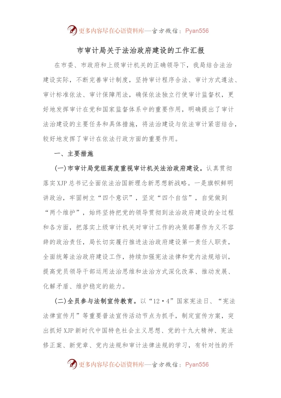 市审计局关于法治政府建设的工作汇报.docx_第1页