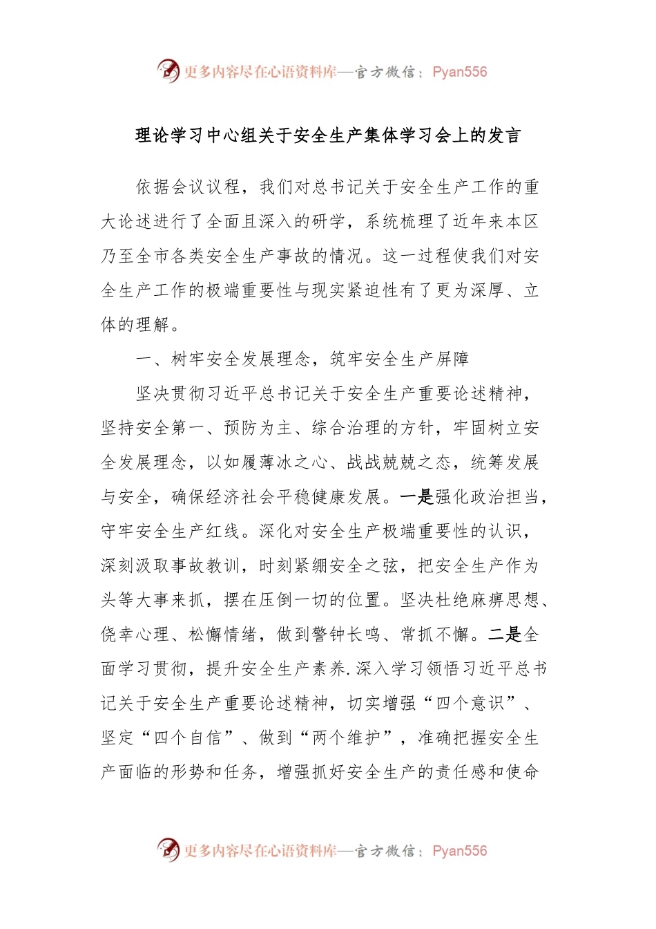 理论学习中心组关于安全生产集体学习会上的发言稿.docx_第1页