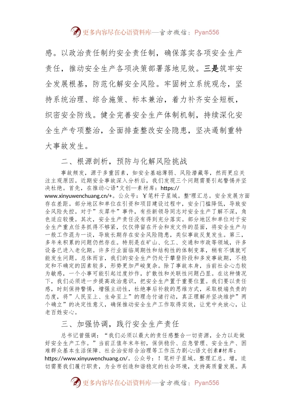 理论学习中心组关于安全生产集体学习会上的发言稿.docx_第2页