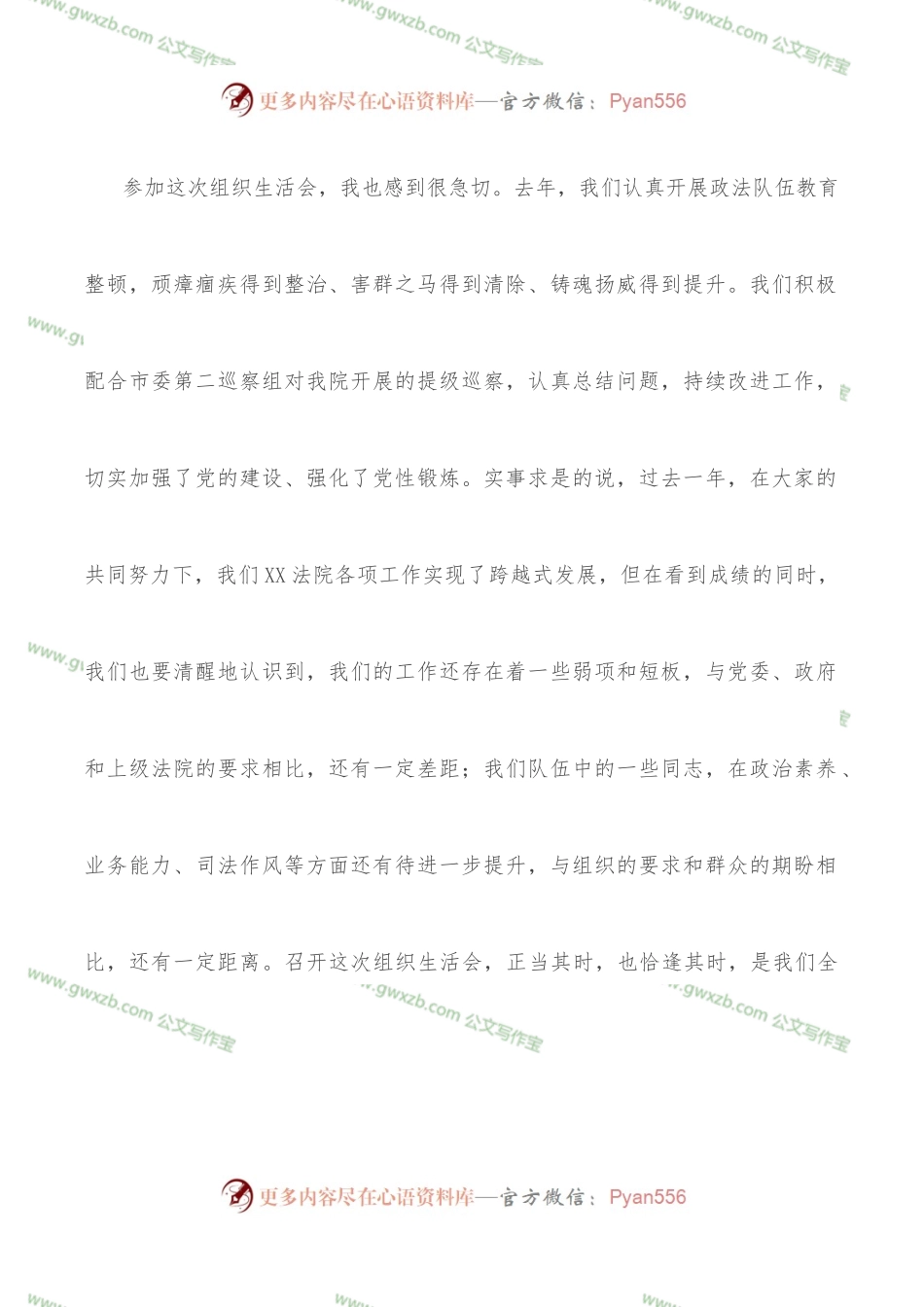 法院院长以普通党员身份参加所在支部民主生活会发言提纲.docx_第2页