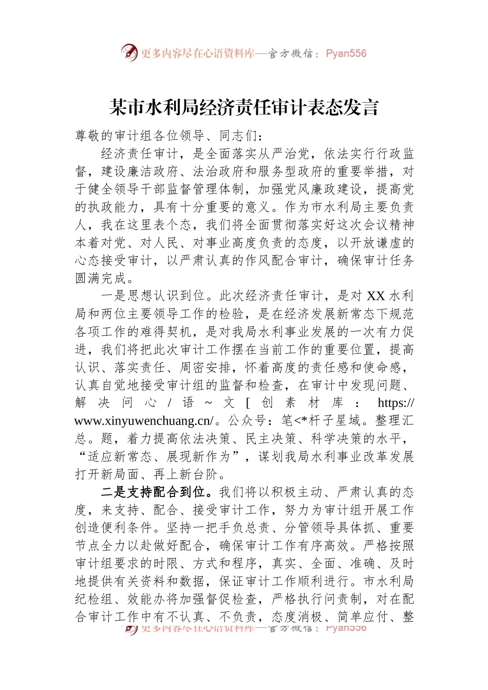 某市水利局经济责任审计表态发言稿.docx_第1页