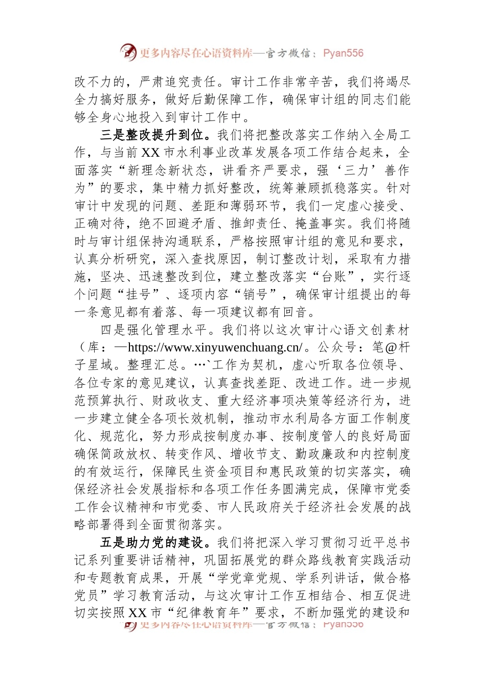 某市水利局经济责任审计表态发言稿.docx_第2页