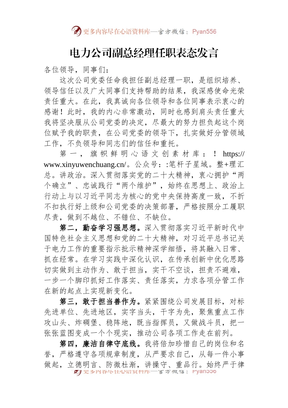 电力公司副总经理任职表态发言.docx_第1页