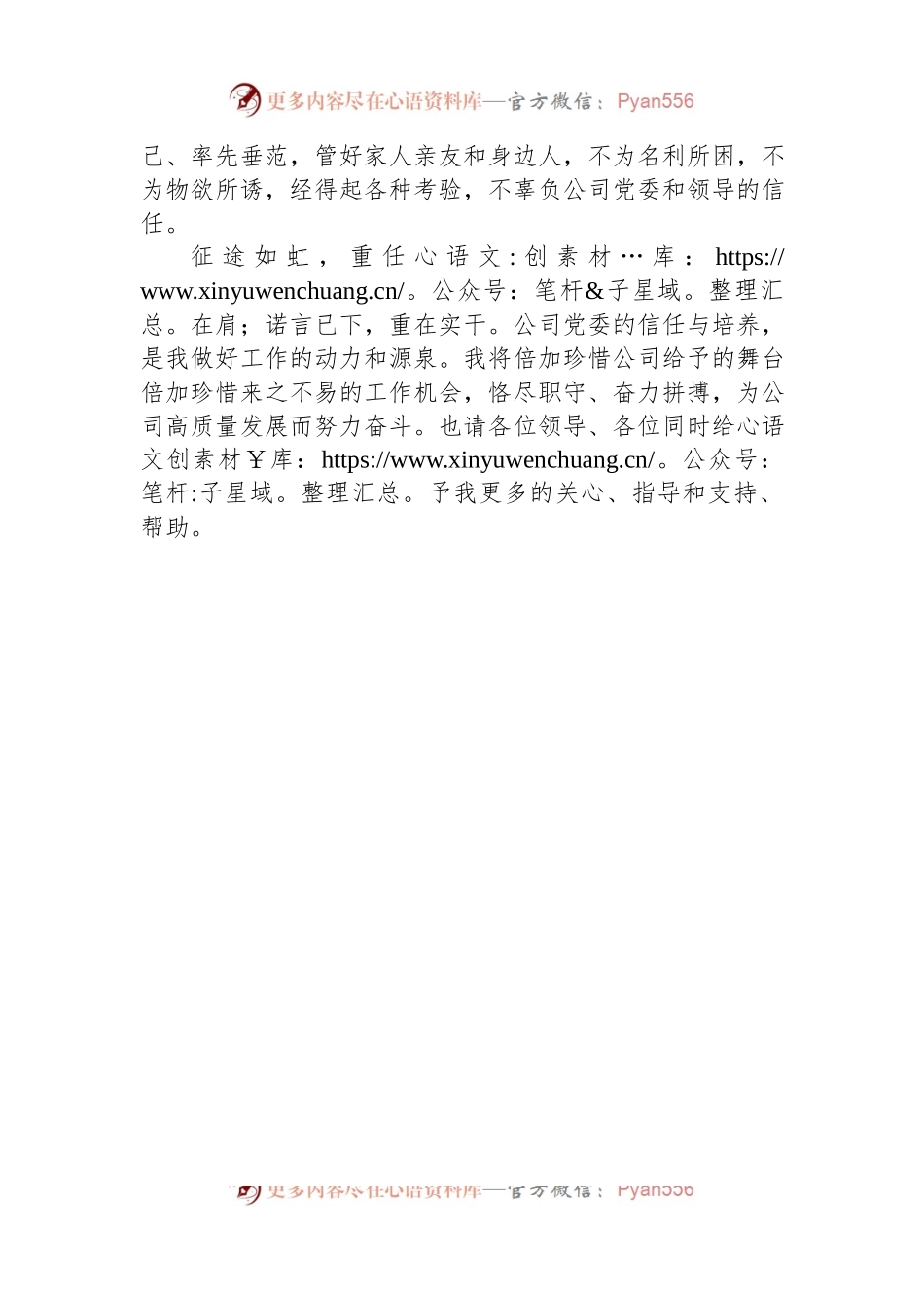 电力公司副总经理任职表态发言.docx_第2页