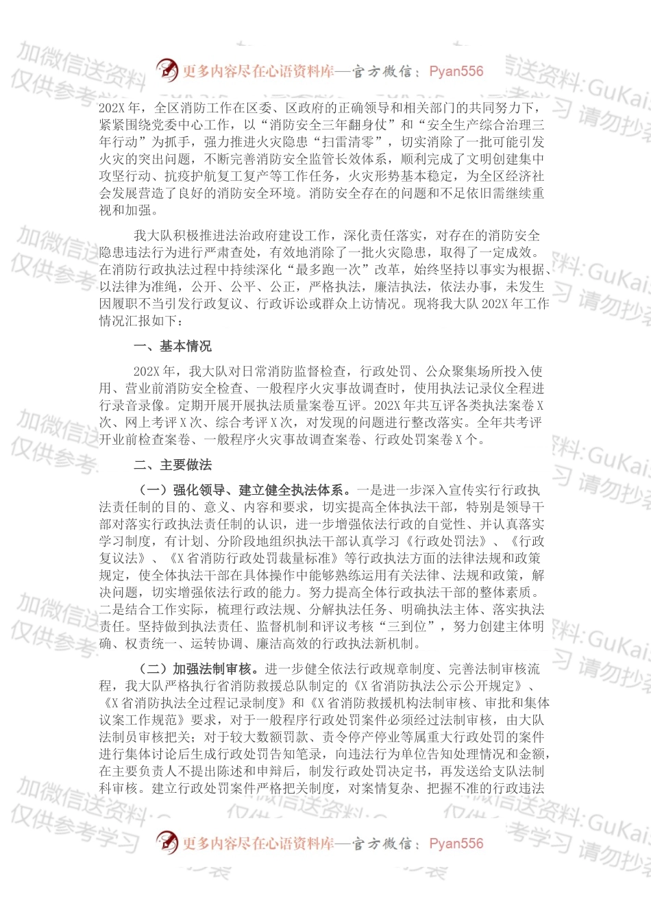 消防救援大队202X年度执法工作总结.docx_第1页