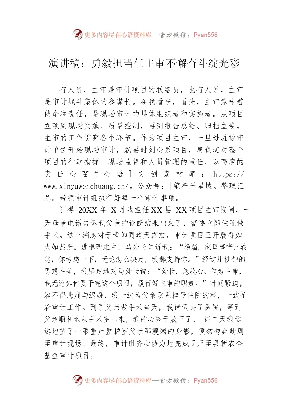 演讲稿：勇毅担当任主审不懈奋斗绽光彩.docx_第1页
