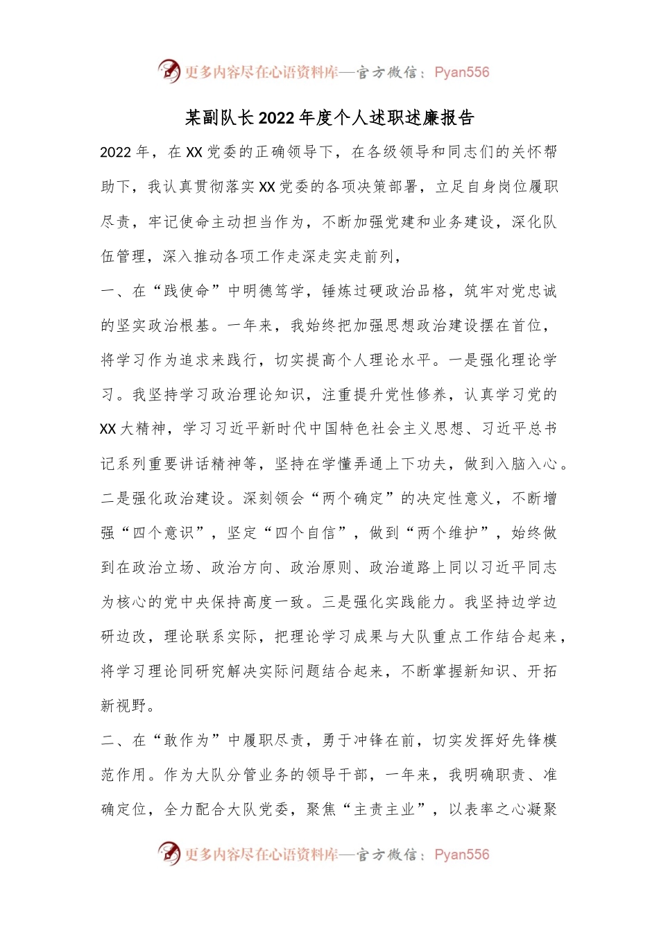 某副队长2022年度个人述职述廉报告.docx_第1页