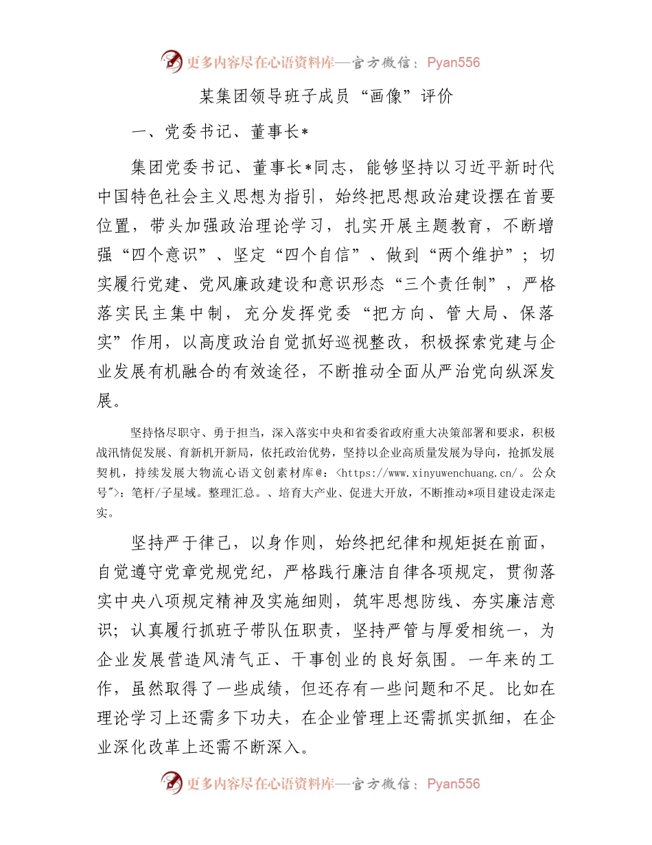 某集团领导班子成员“画像”评价.docx_第1页