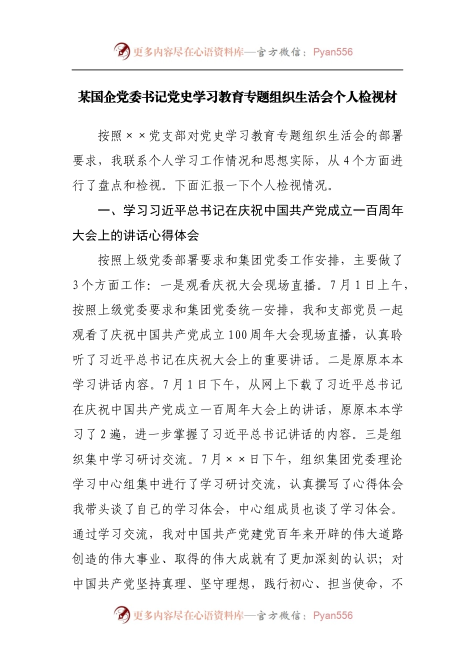 某国企党委书记党史学习教育专题组织生活会个人检视材.docx_第1页