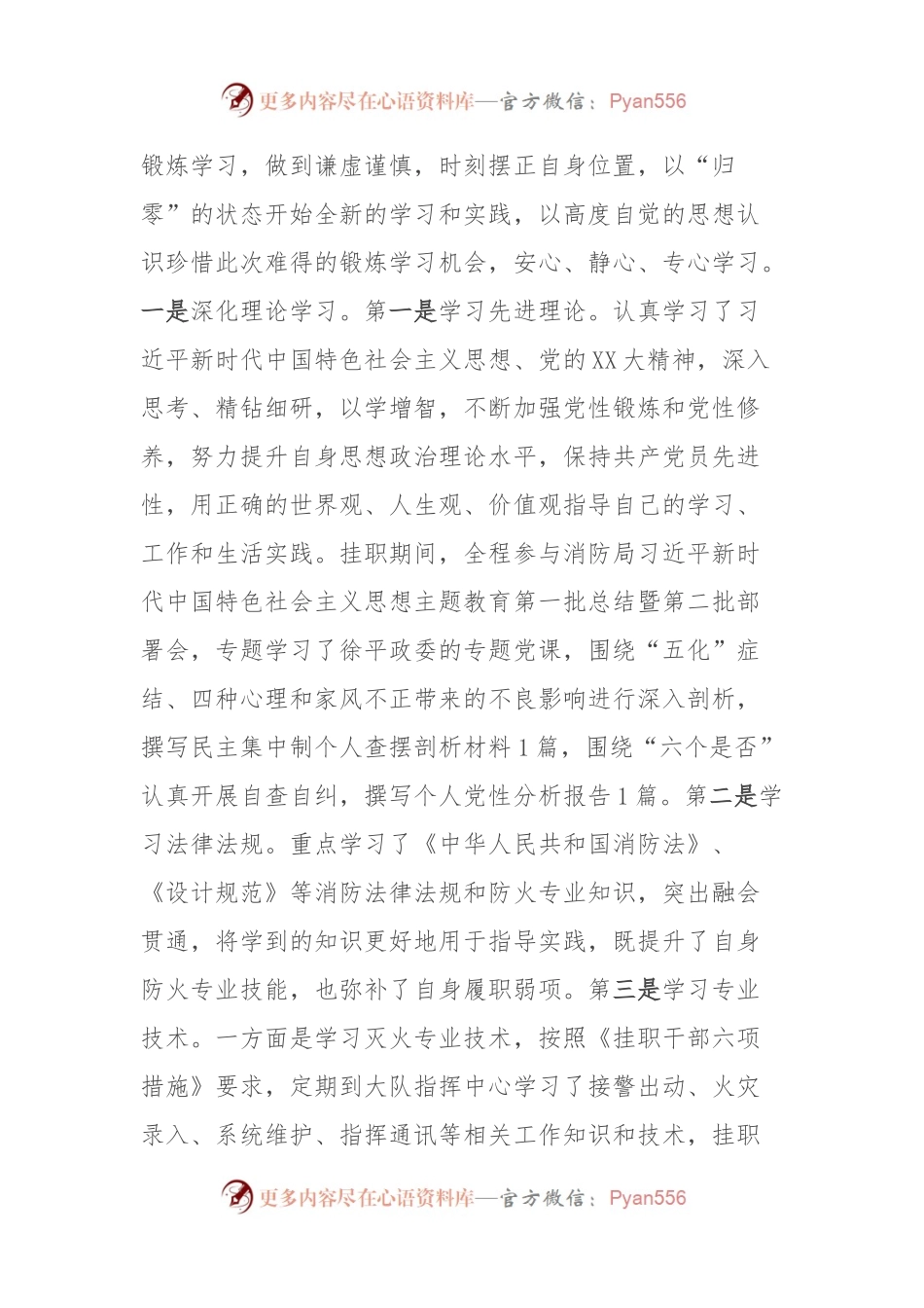 消防救援队伍干部挂职锻炼工作总结.docx_第2页