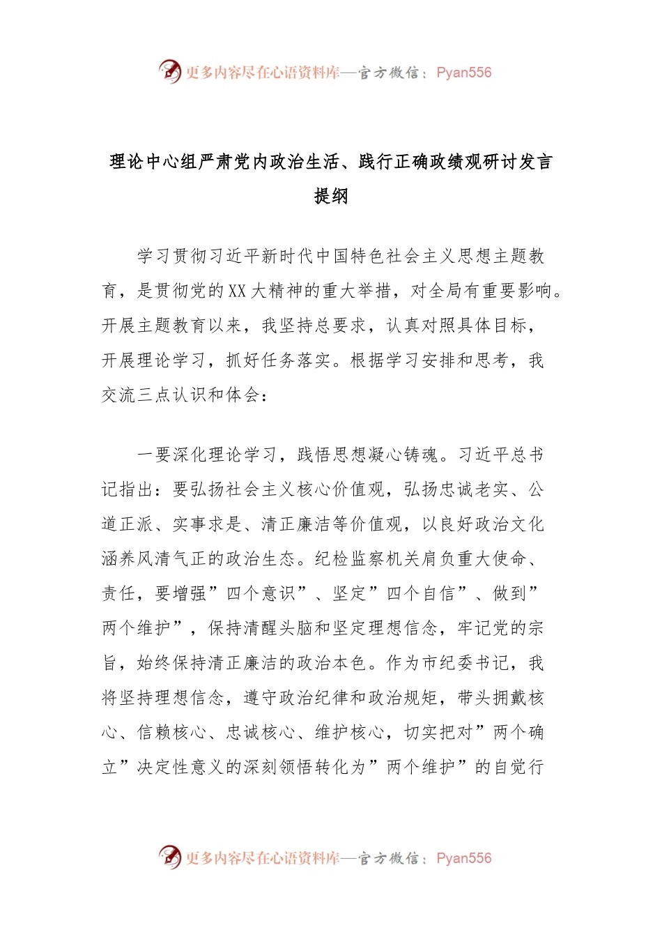 理论中心组严肃党内政治生活、践行正确政绩观研讨发言稿提纲.docx_第1页