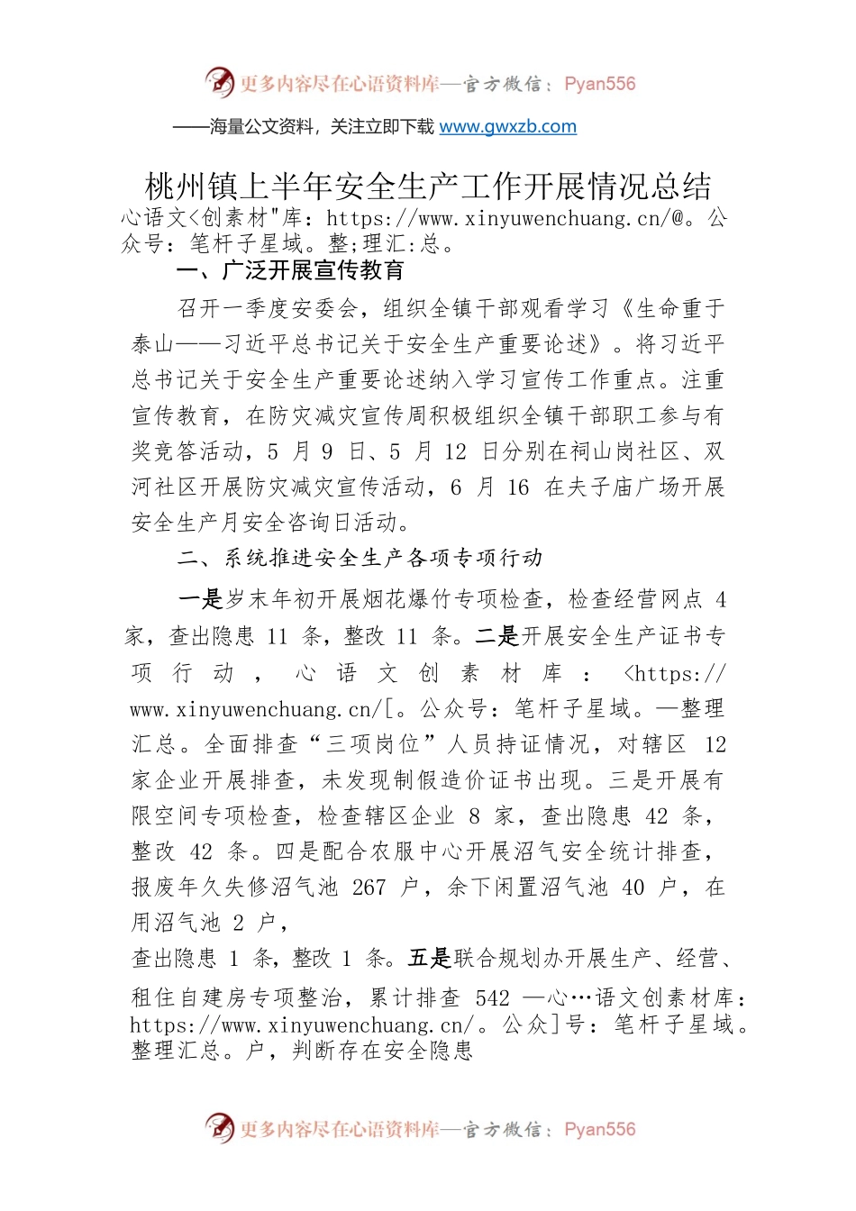 桃州镇上半年安全生产工作开展情况总结.docx_第1页