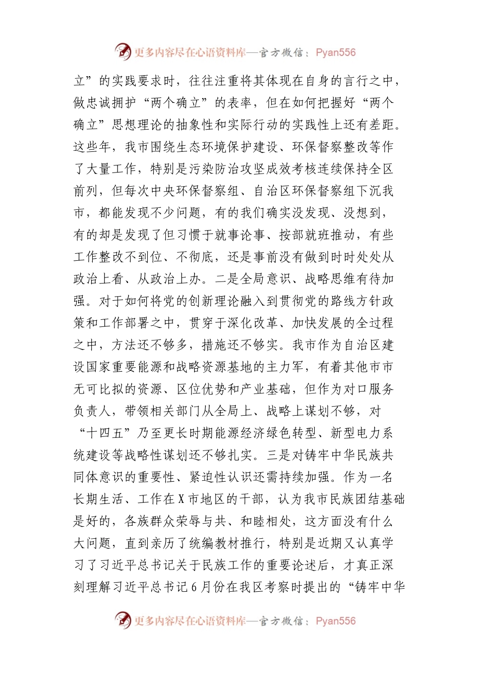 某市政府办副秘书长、副主任2023年度民主生活会对照检查材料（践行宗旨等6个方面+典型案例剖析.docx_第2页