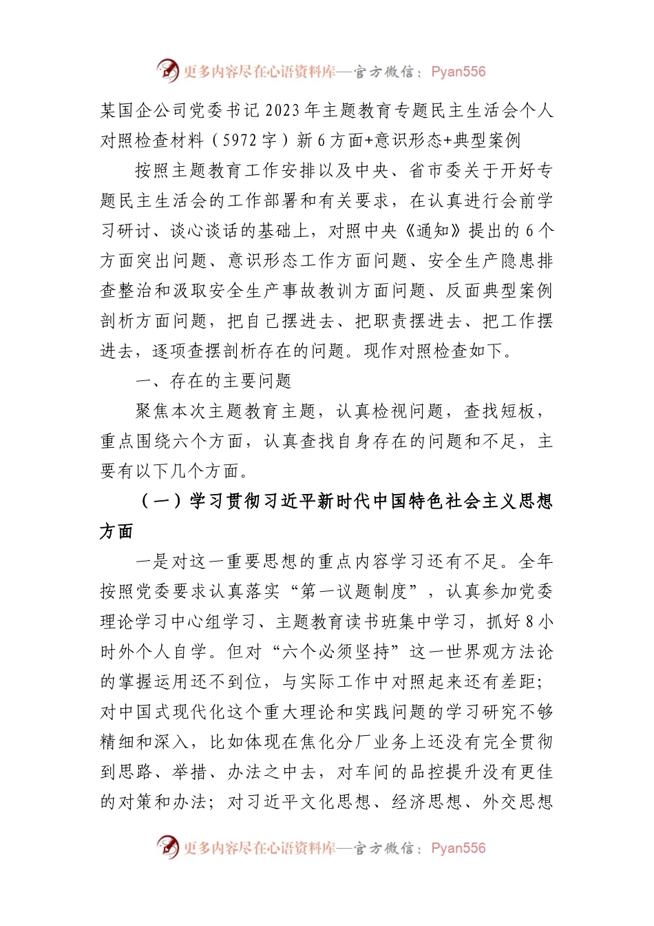 某国企公司党委书记2023年主题教育专题民主生活会个人对照检查材料（践行宗旨等6个方面+意识形态+典型案例）.docx_第1页