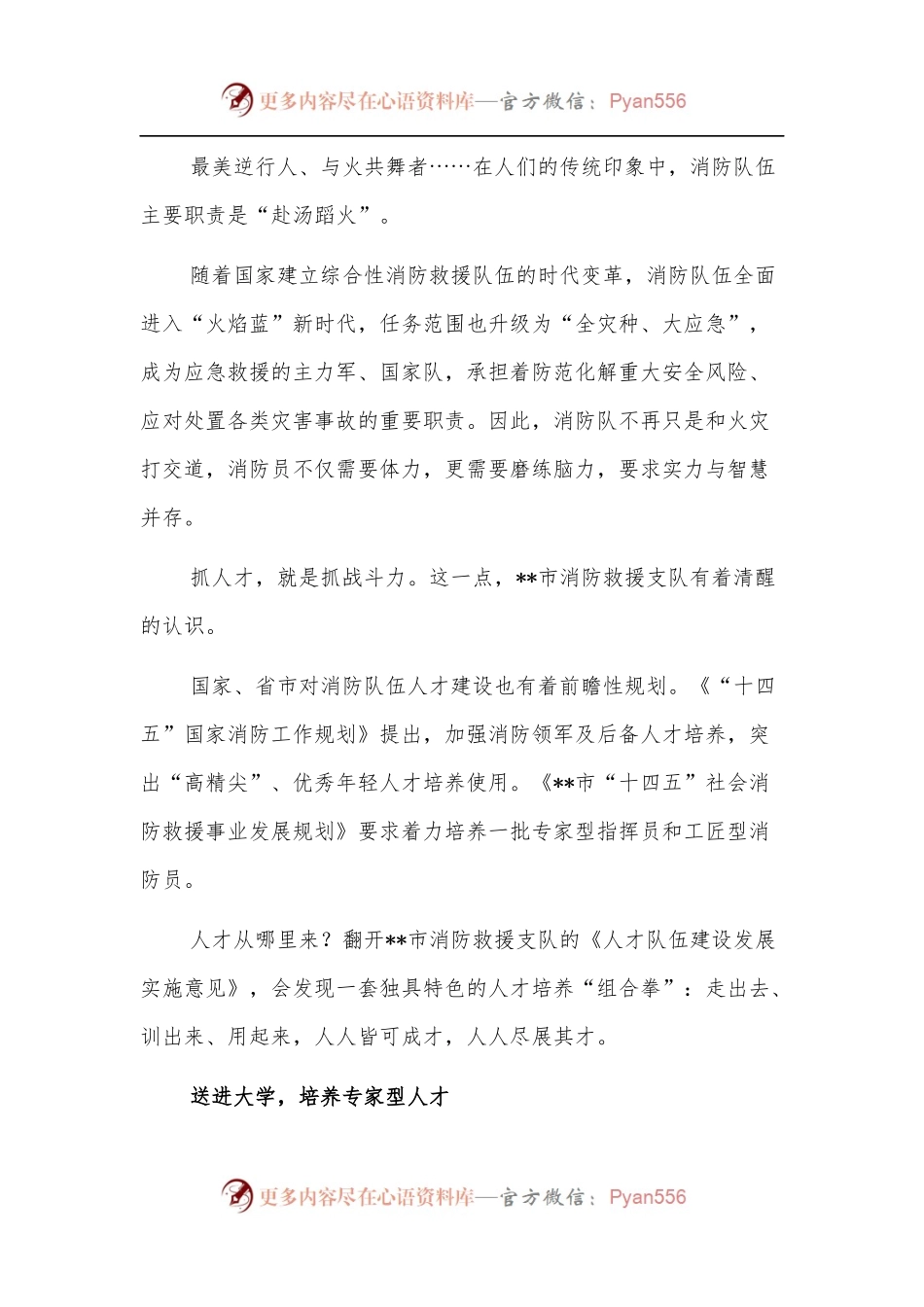 消防救援支队人才队伍建设工作综述.docx_第2页
