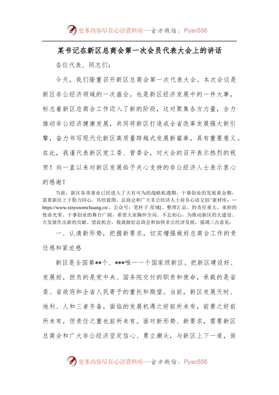 某书记在新区总商会第一次会员代表大会上的讲话.docx_第1页