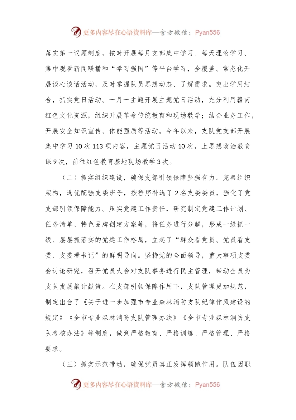 消防支队党支部关于落实全面从严治党主体责任情况的报告.docx_第2页