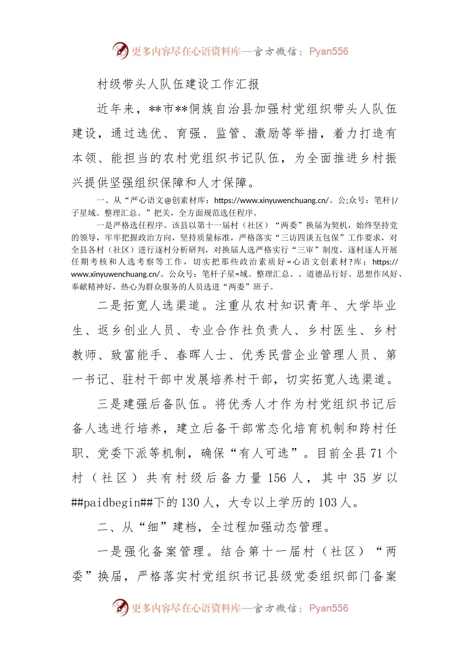 村级带头人队伍建设工作汇报.docx_第1页