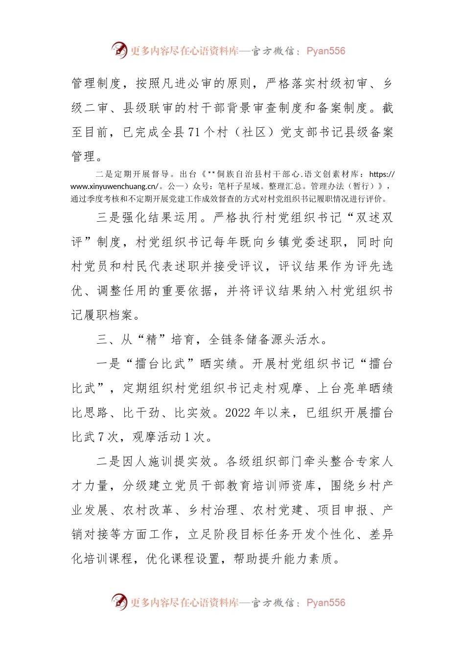 村级带头人队伍建设工作汇报.docx_第2页