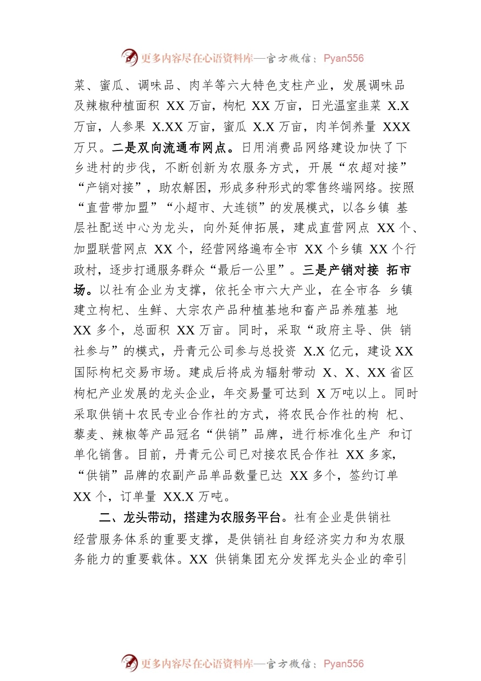 某市积极探索供销集团化发展模式的情况汇报.docx_第2页