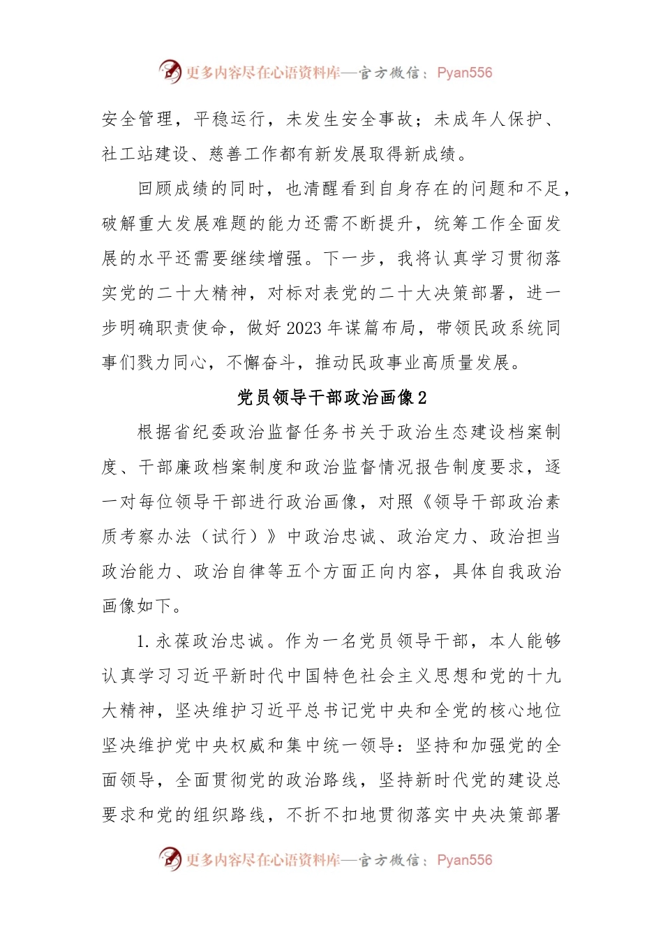 最新政治画像报告.docx_第2页