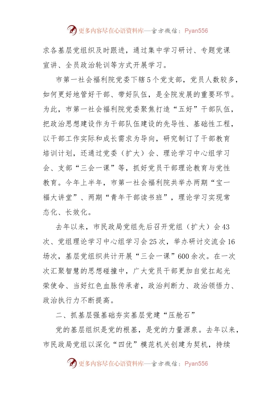 民政局以高质量党建引领民政事业高质量发展工作综述.docx_第2页